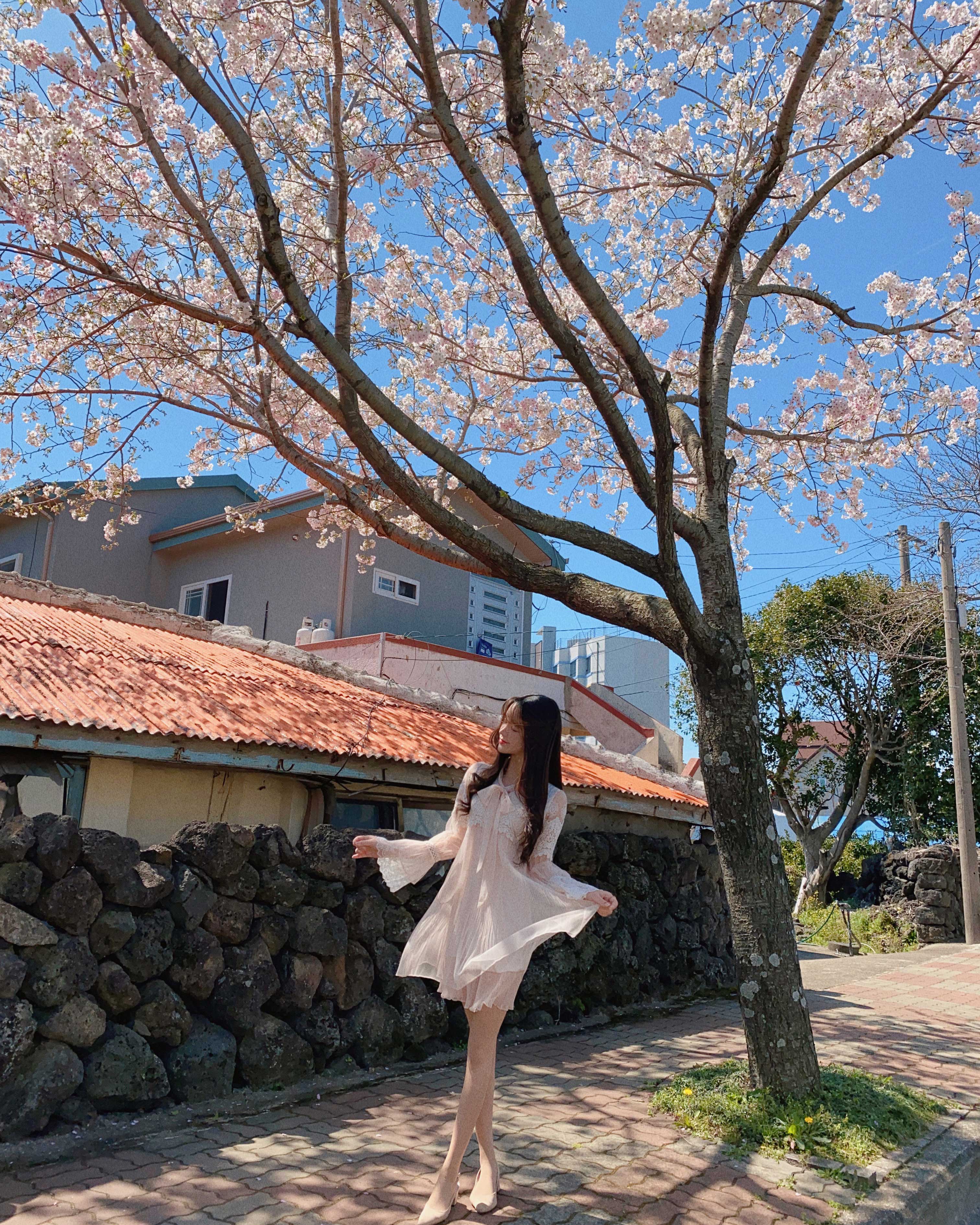 Cherry blossoms Dress